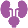 urology urology